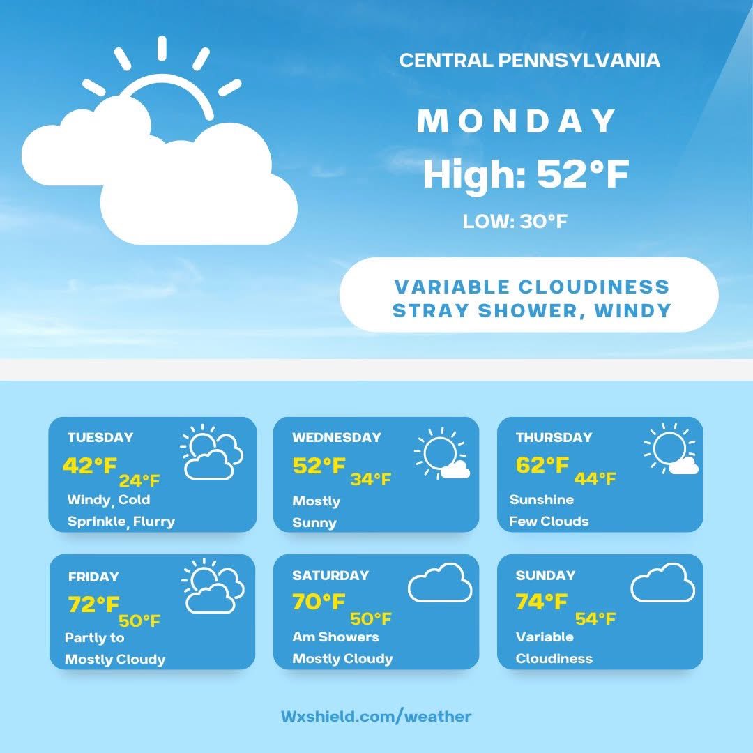 Christy Shields tweet media