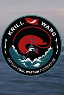 CROWSPLAY tweet media