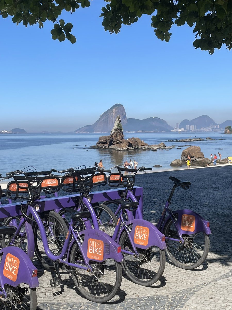 Dilza Bruno tweet media