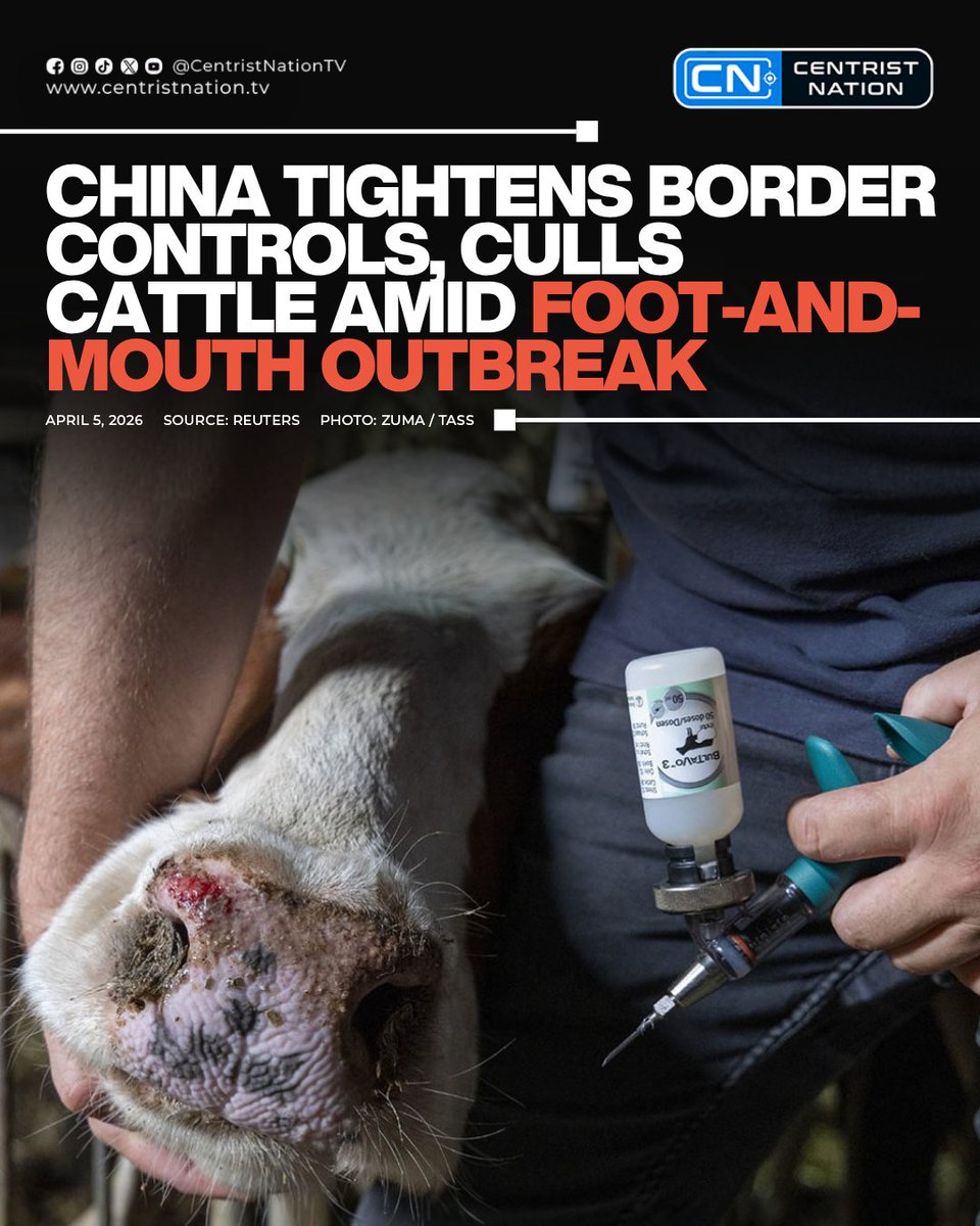 centristnattv's tweet photo. China has tightened ​border controls, fast-tracked vaccines and begun culling cattle after a small outbreak of foot-and-mouth disease in ‌the northwest that officials say entered from abroad.

#China #BorderControls #Vaccines #Cattle #CN #CentristNation https://t.co/Jyj7iguovz