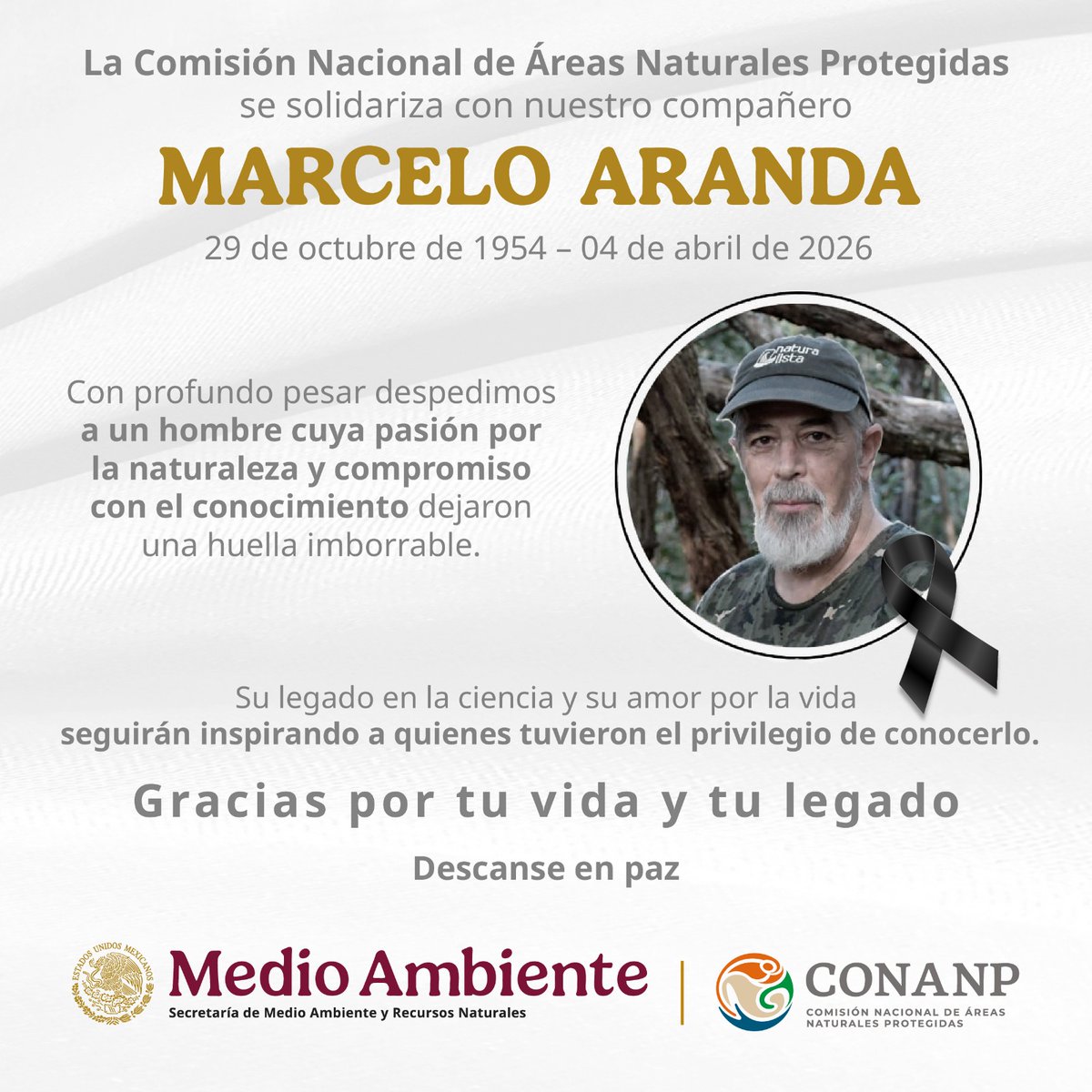 CONANP_mx's tweet photo. La #Conanp lamenta el sensible y lamentable fallecimiento de nuestro excompañero Marcelo Aranda. 🖤

Marcelo fue Director de diversas #ÁreasNaturalesProtegidas y una luminaria en la enseñanza de la mastozoología. 🐾

¡Hasta siempre Maestro Aranda! 🙏 https://t.co/Ap3XOLdfRF