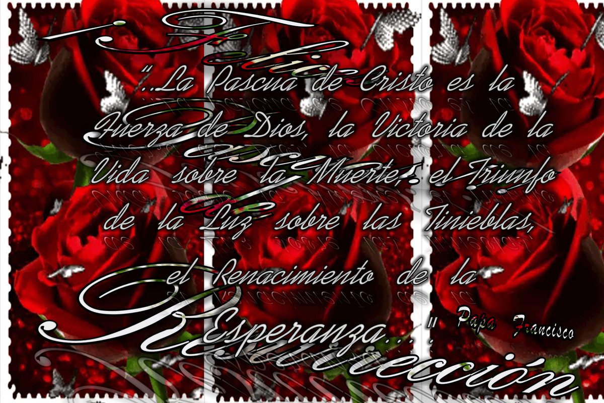 René Beneventano 🇺🇾 tweet media