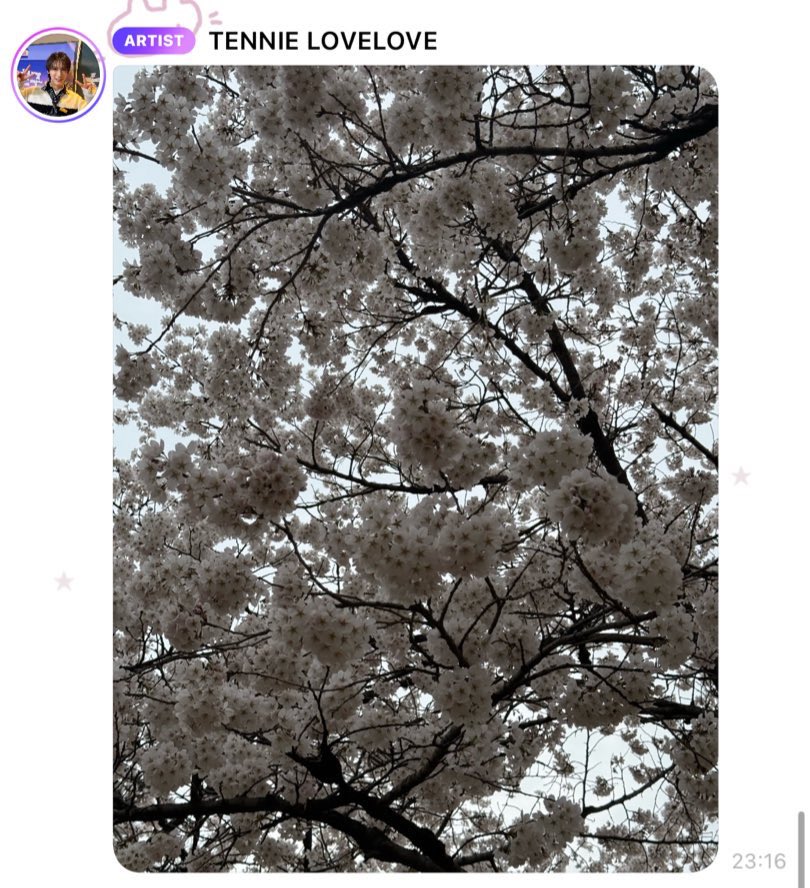 me.⁷⁷ tweet media