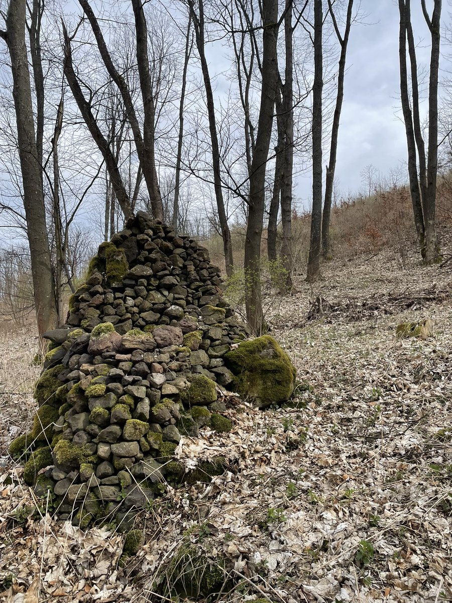 Bru(n)tální elektrikář tweet media