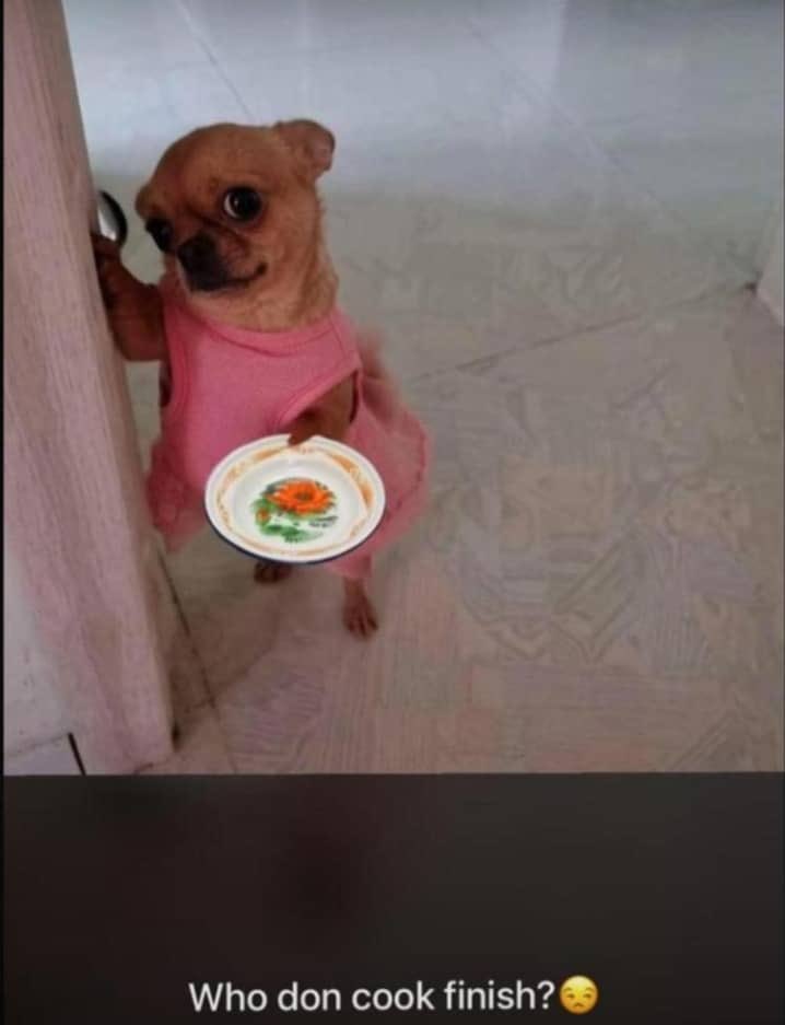 SQUID 𓅂 tweet media