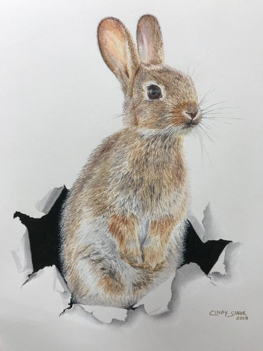 they call me Pencils tweet media