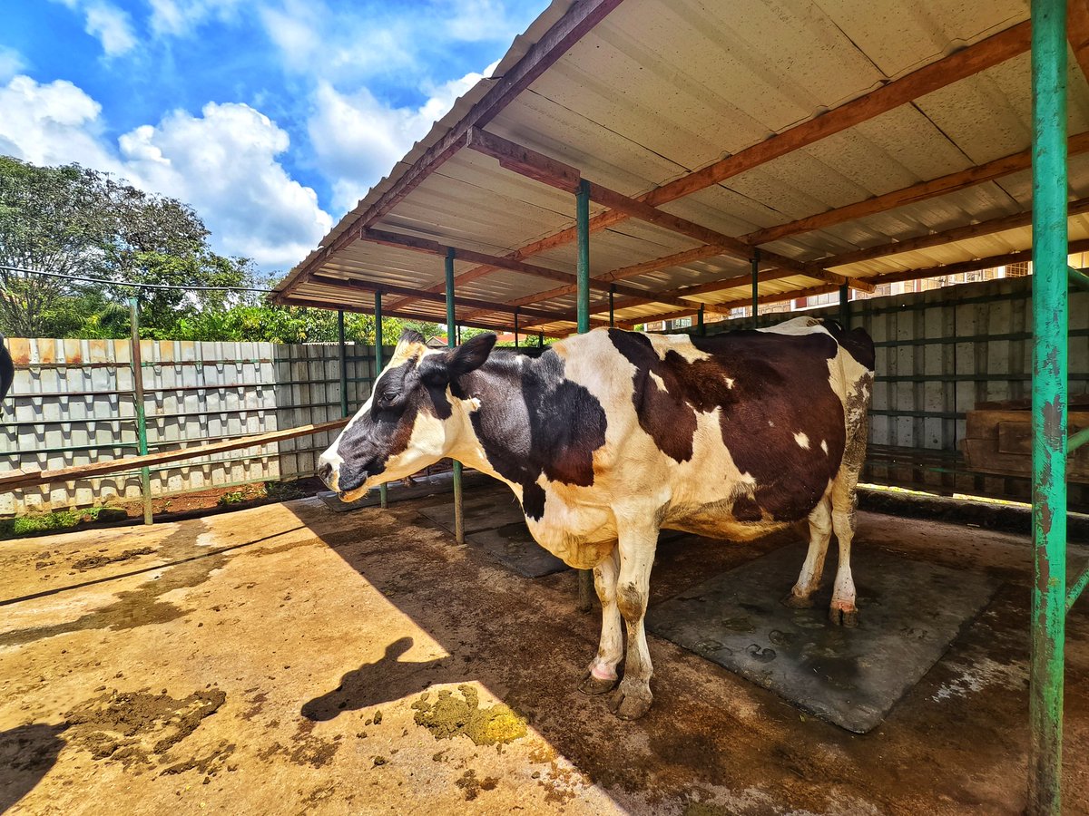 WizMelavin tweet media