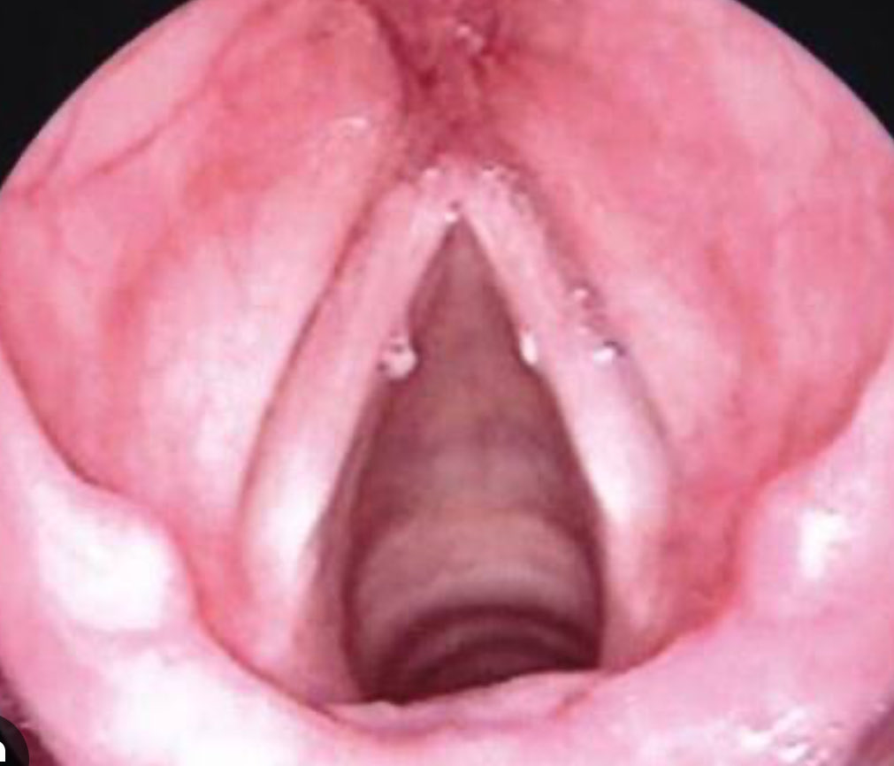 دكتوره منال بخاري tweet media