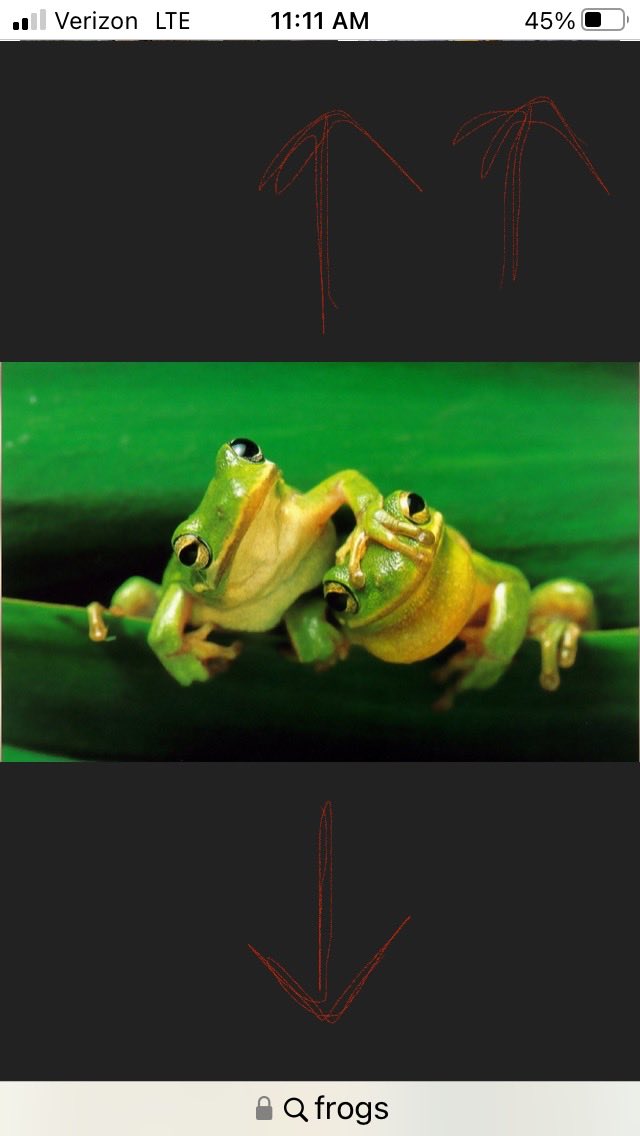 ICrackMyselfUp tweet media