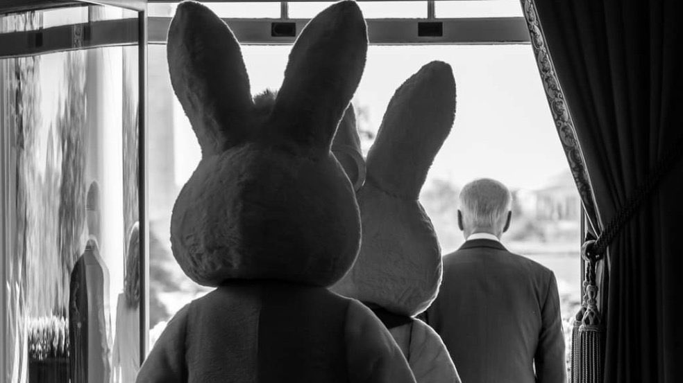 John Feeley tweet media