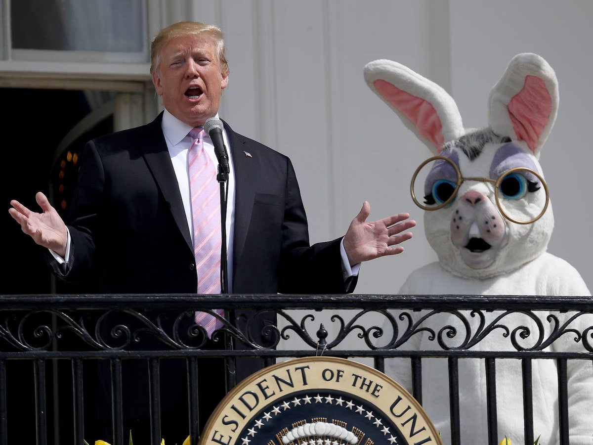 John Feeley tweet media