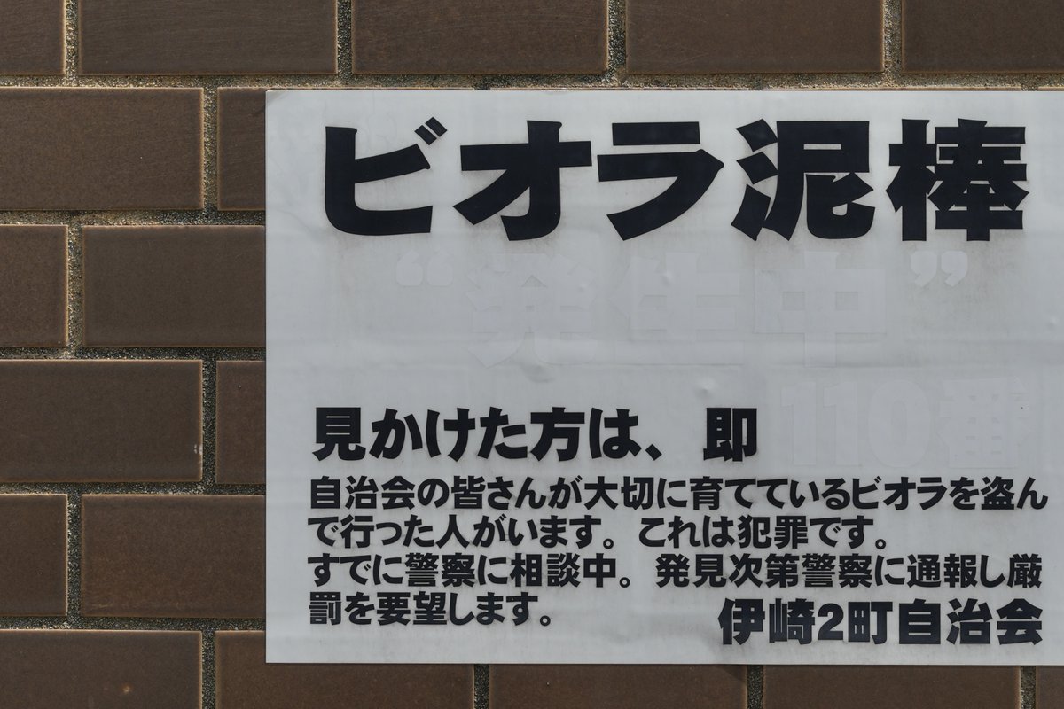 許せないよな
見かけた方は、即