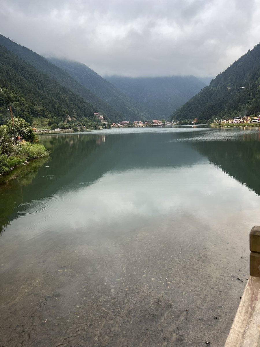 محمدوف tweet media