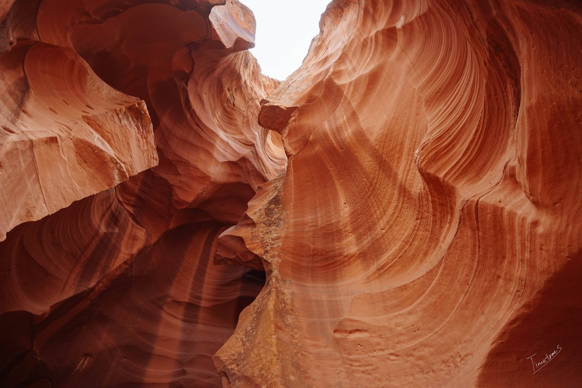 Sunshine Hang tweet media