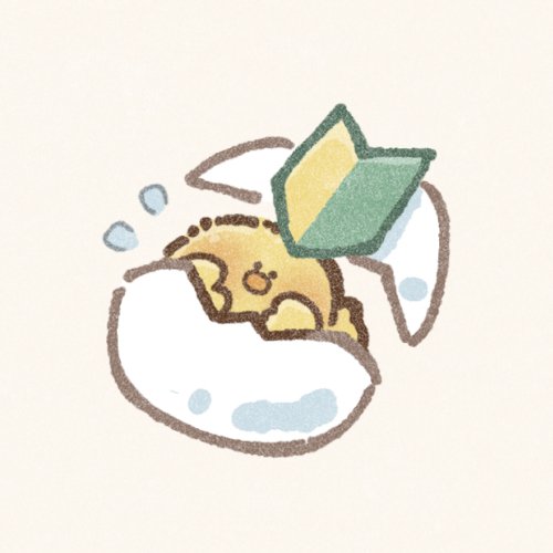 金剛 平和 tweet media