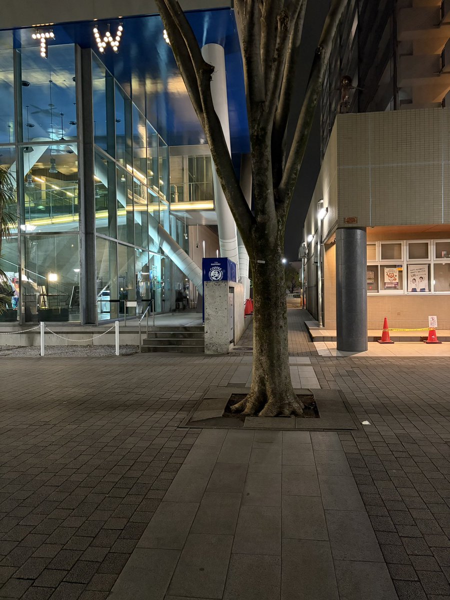 ちる/ｎ６🍚 tweet media