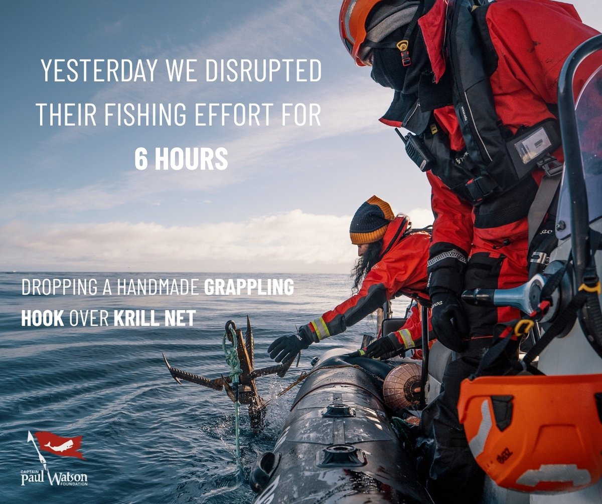 Captain Paul Watson Foundation 🐋🏴‍☠️ tweet media