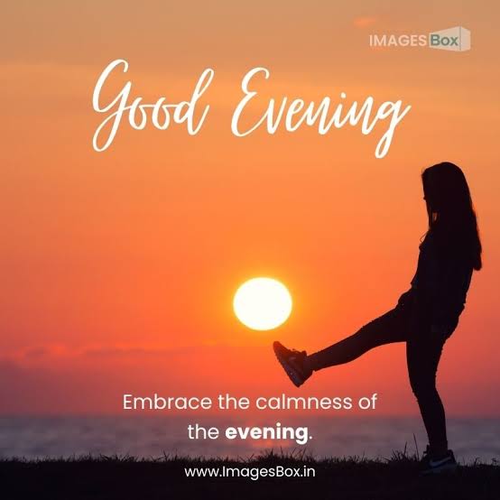 saim.xyz tweet media