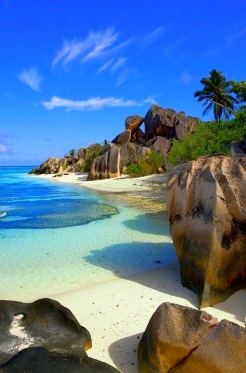 Earth Pictures tweet media