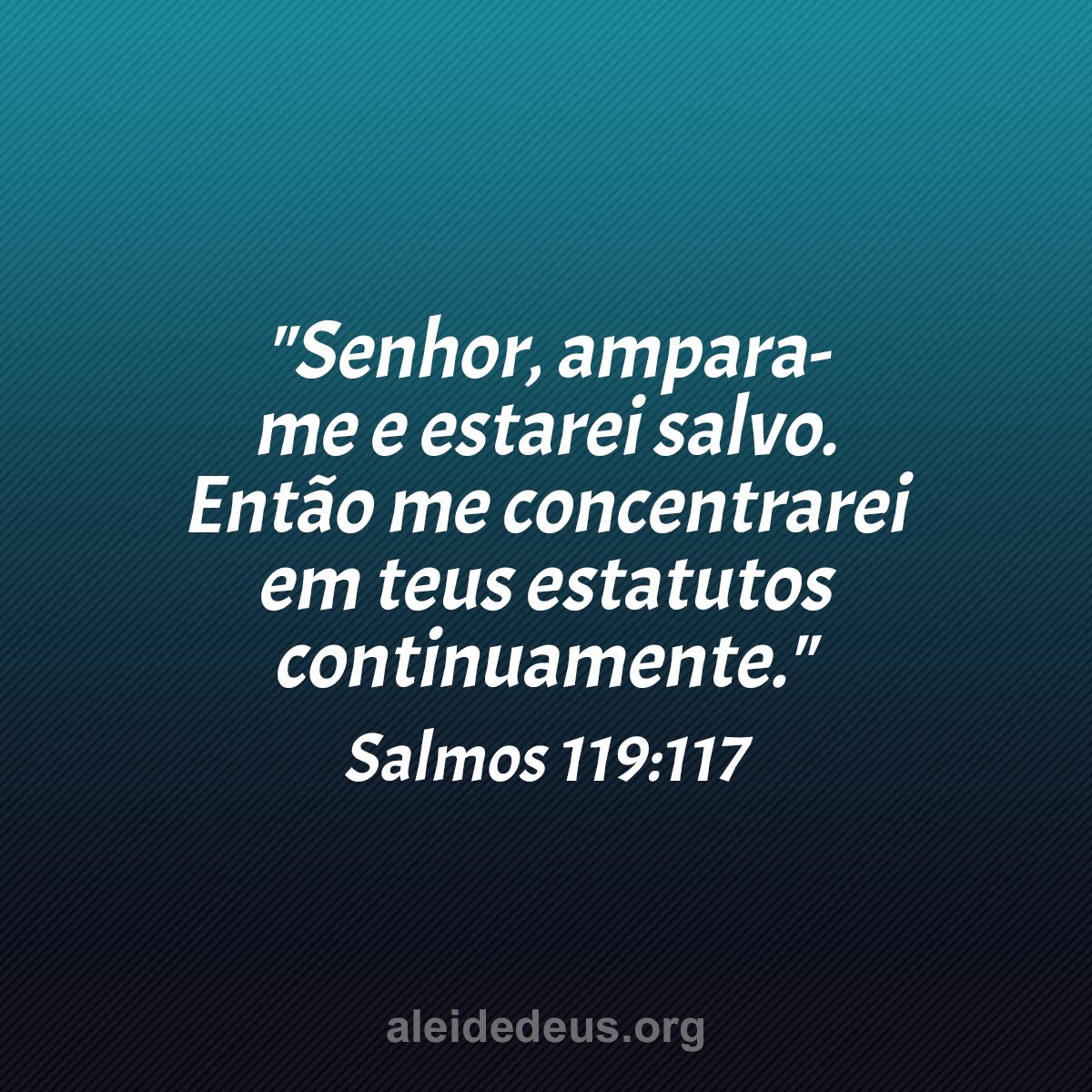 Semeadores da Palavra tweet media