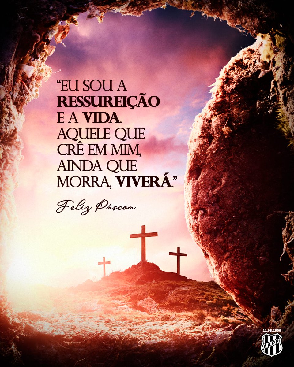 Ponte Preta Oficial tweet media