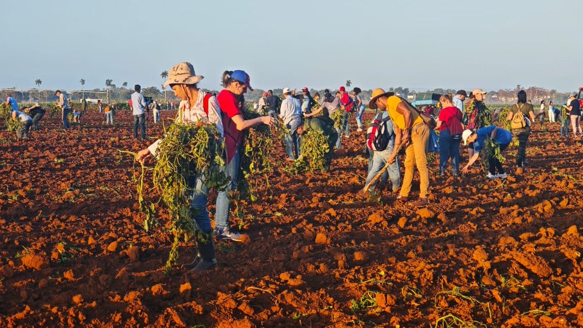 Dr. Roberto Morales Ojeda tweet media