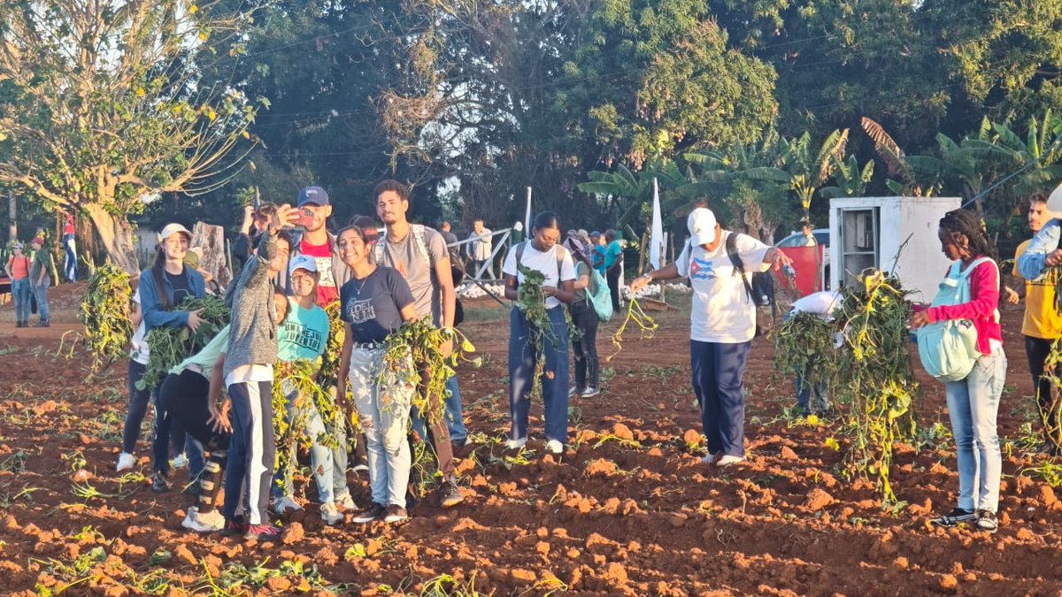 Desde horas tempranas, junto a <a href="/DiazCanelB/">Miguel Díaz-Canel Bermúdez</a>, acompañamos a decenas de jóvenes que se concentraron en el surco para contribuir a la producción de alimentos.

En este momento donde se recrudece la agresión contra nuestro país, como ha sido una esencia de nuestro pueblo, compatriotas