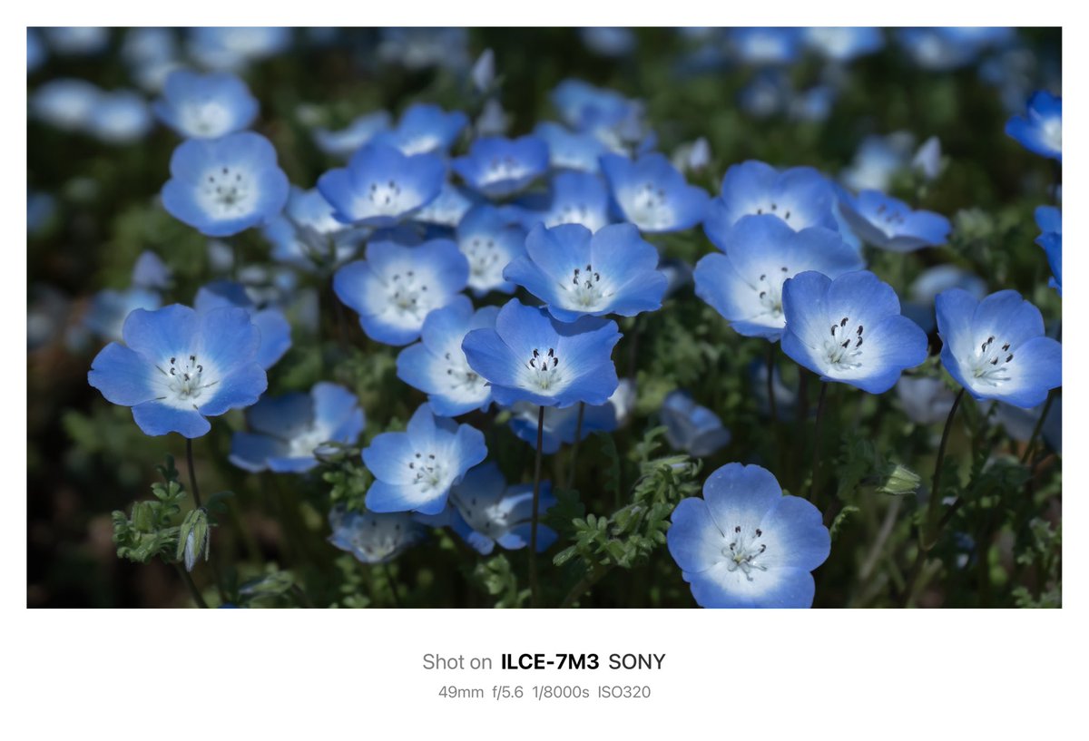 𝙆𝙄𝙍𝙄 (@suzyiesi2) on Twitter photo 