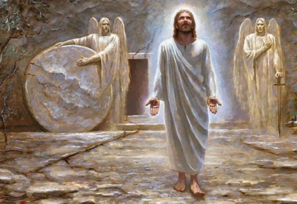 Shadow Rider. D 🇻🇪⭐ tweet media