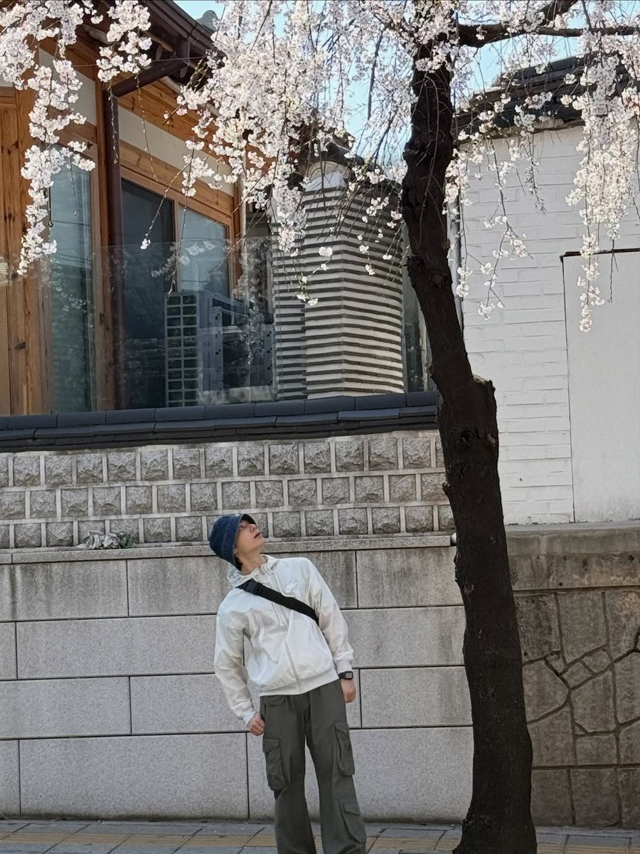 그믐🌘 tweet media