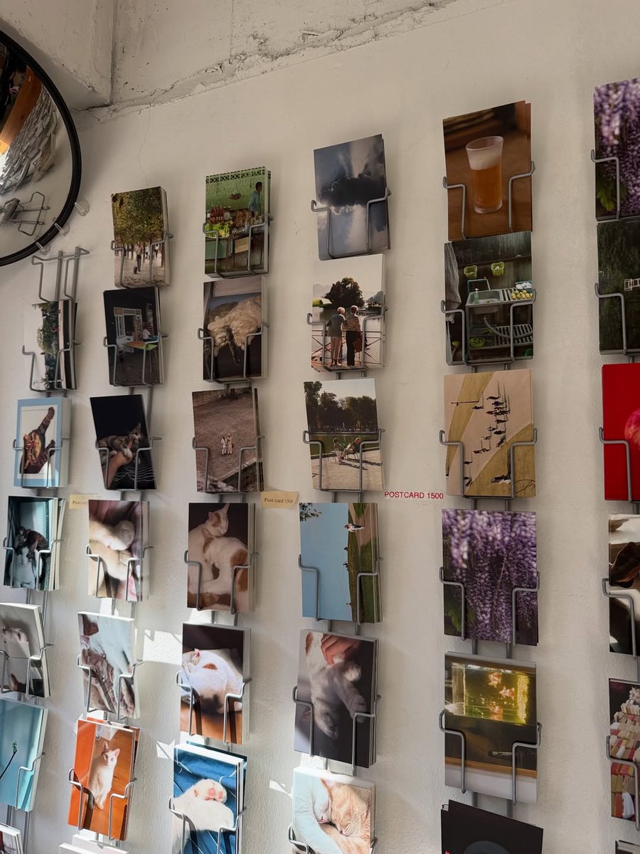 그믐🌘 tweet media