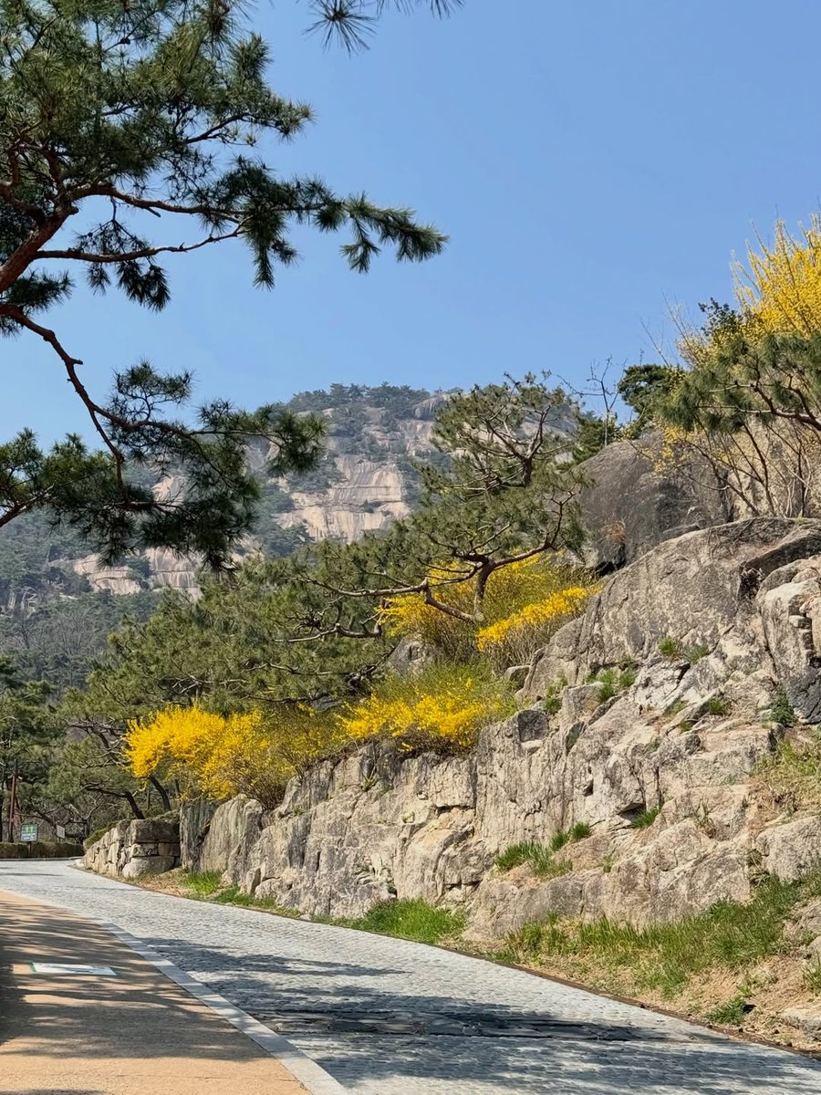 그믐🌘 tweet media