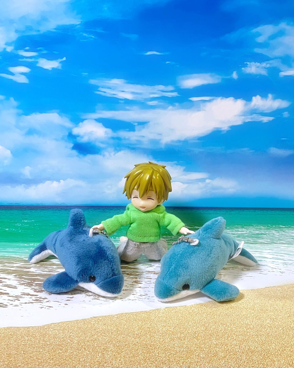 askamine's tweet photo. ドルフィントレーナー真琴 https://t.co/rhQNHkFT2O