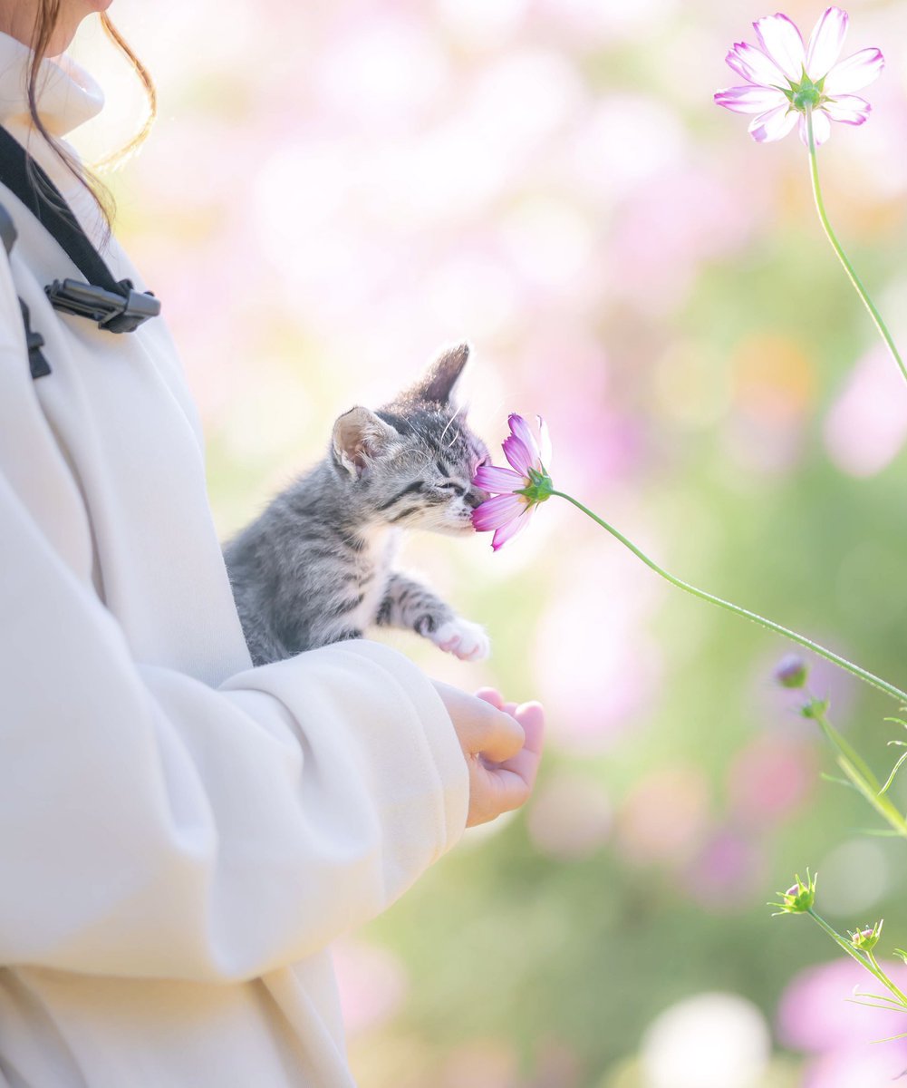癒される動物 tweet media