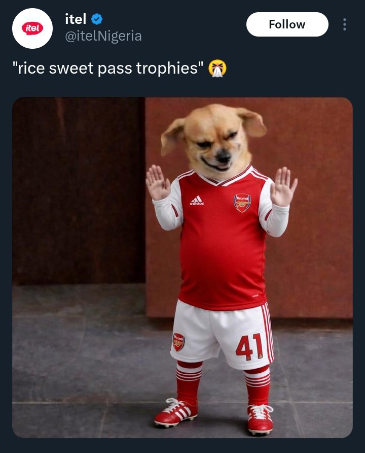 NIMATIC🧩 tweet media