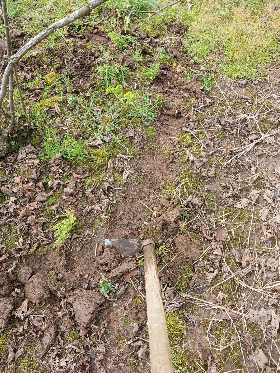 Mehmet Yiğit tweet media