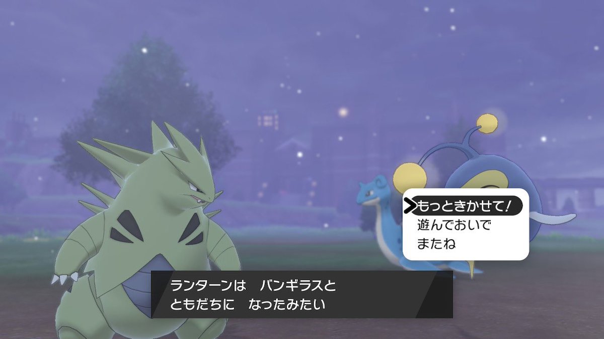 👻さみお🦈 tweet media