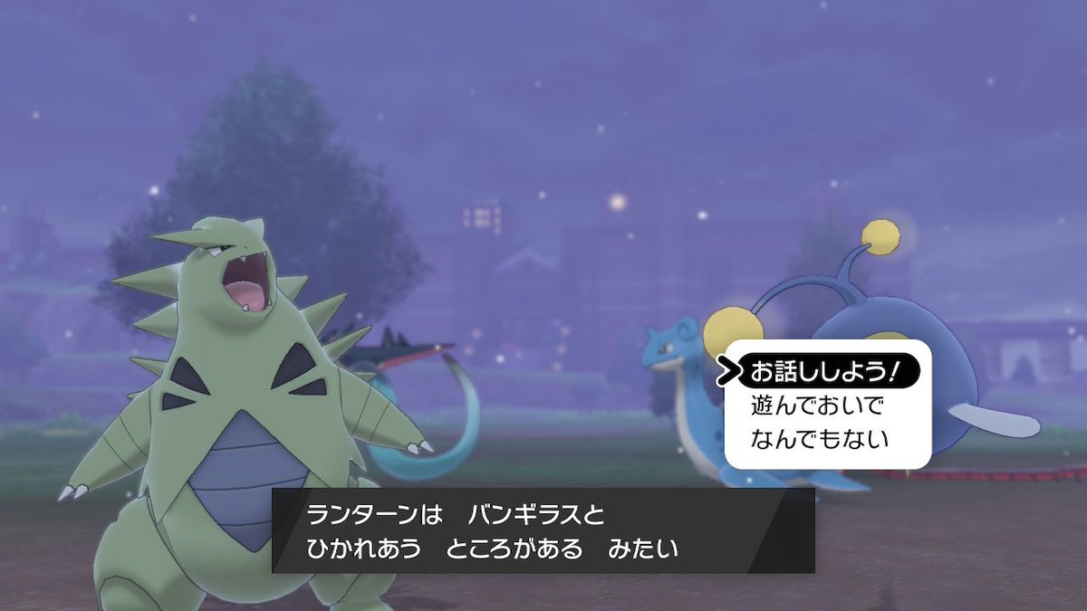 👻さみお🦈 tweet media