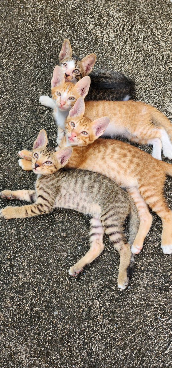 Moverine tweet media