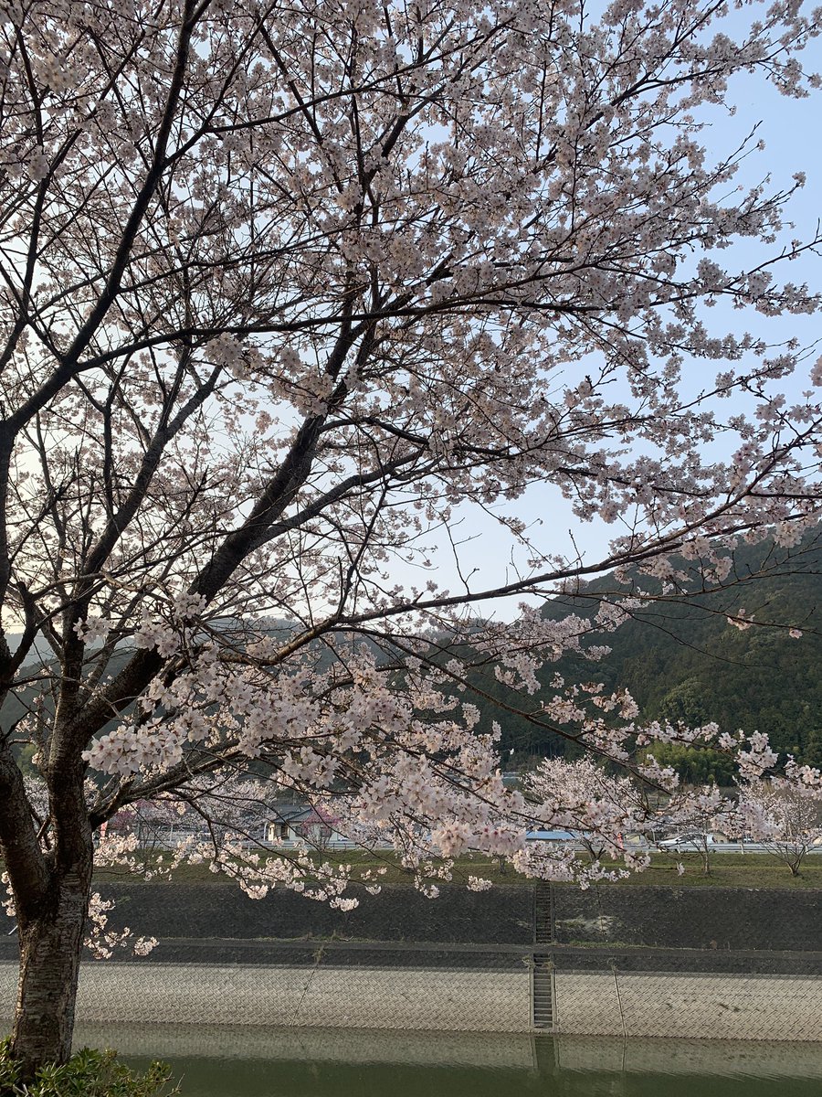 アニメBarConnect🐟🌈🏍️🎮👑　4月25日営業終了後閉店 tweet media