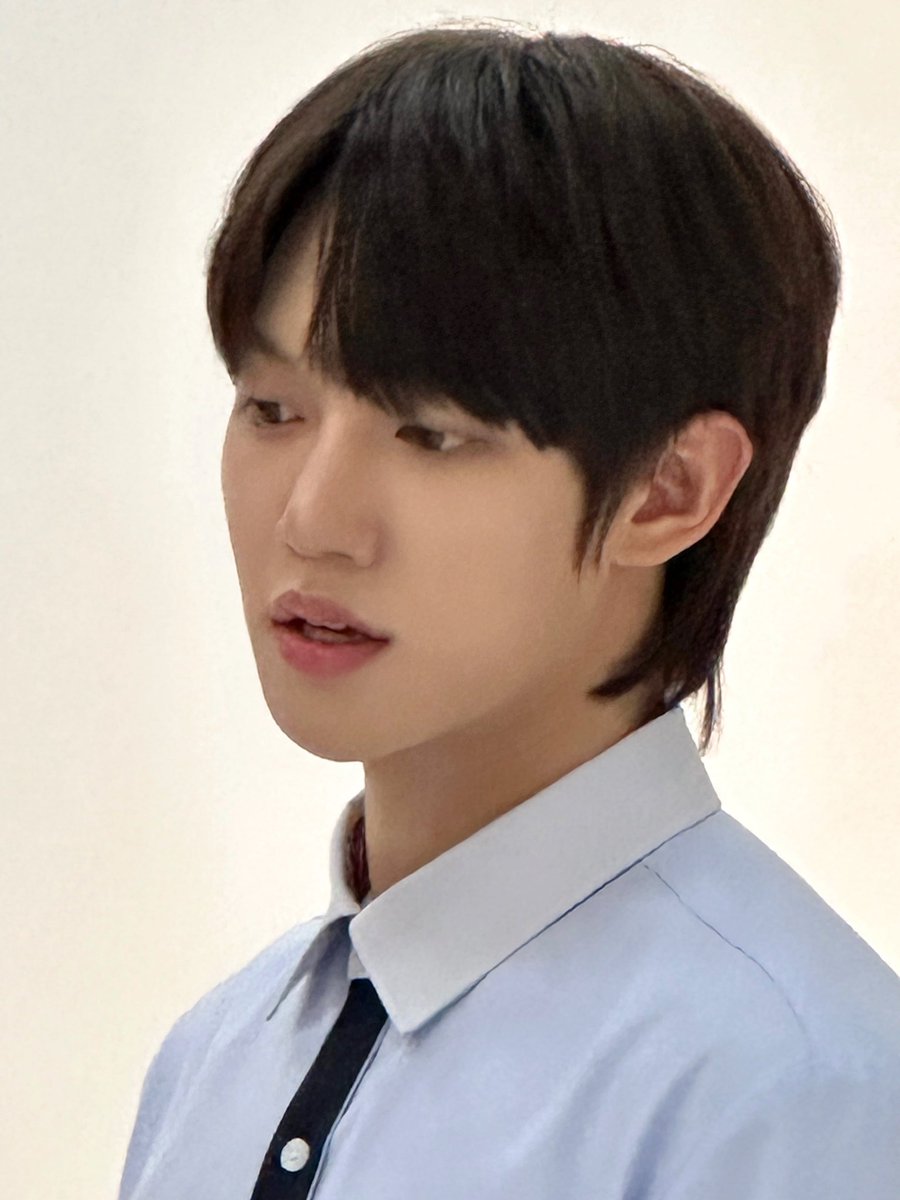 The Wind tweet media