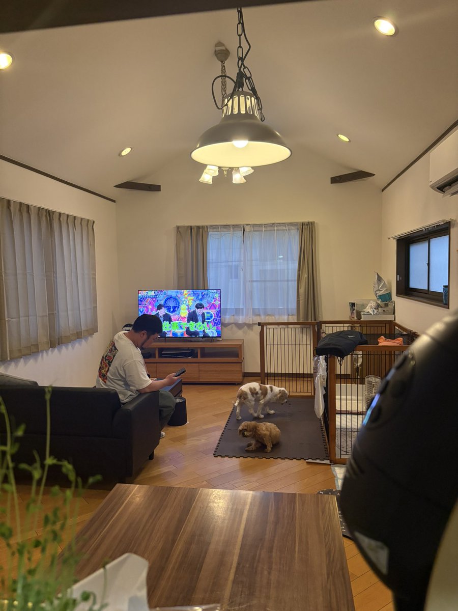 MRN_03_SWNG's tweet photo. きのーは、こたろーとあそびました。
きょーは、ゆーきとおでかけしました。
そんなしゅーまつでした。 https://t.co/xHG08OJYEY