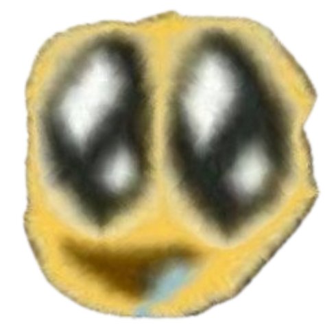 aurorus borealis tweet media