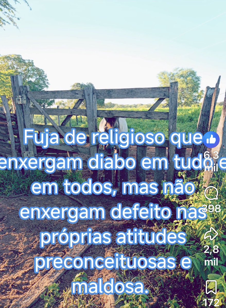 Maria de Fatima Caetano tweet media