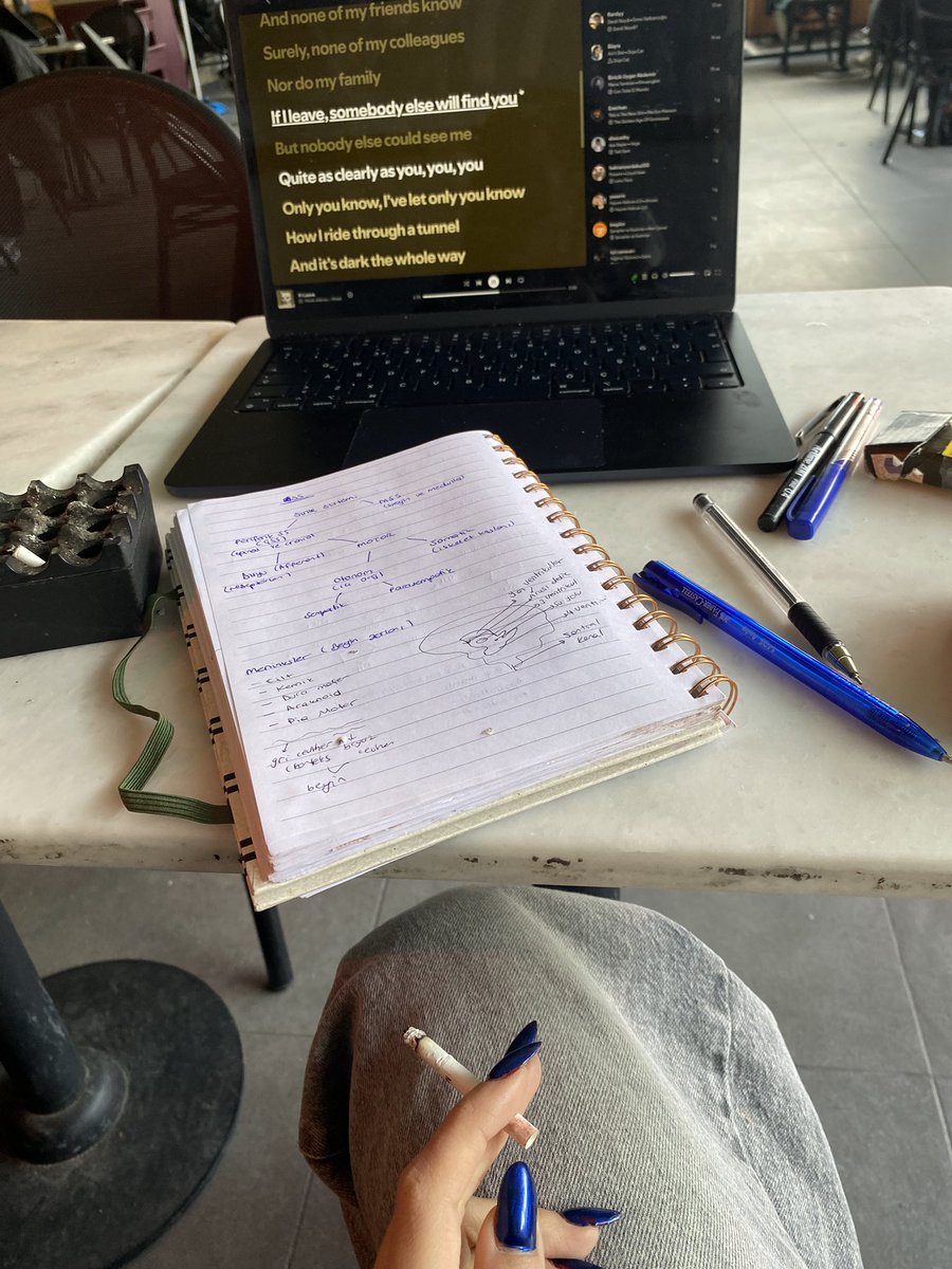 c ᥫ᭡ tweet media