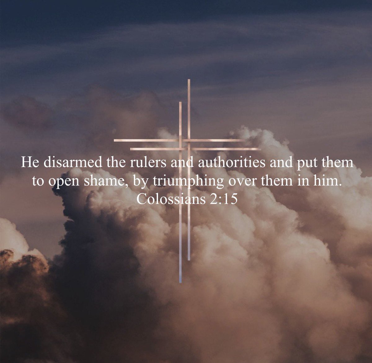 Mitchell Simmons tweet media