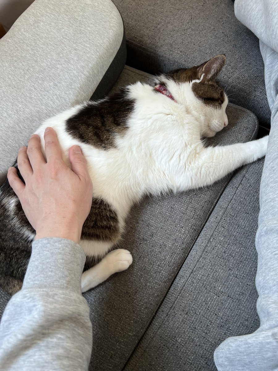 宗方脩 tweet media