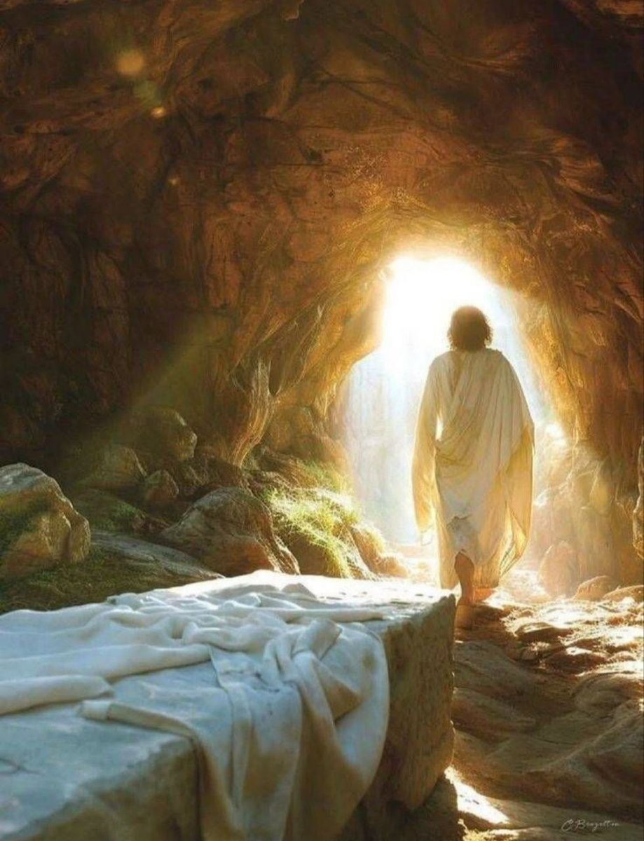 @dessere88fenice tweet media