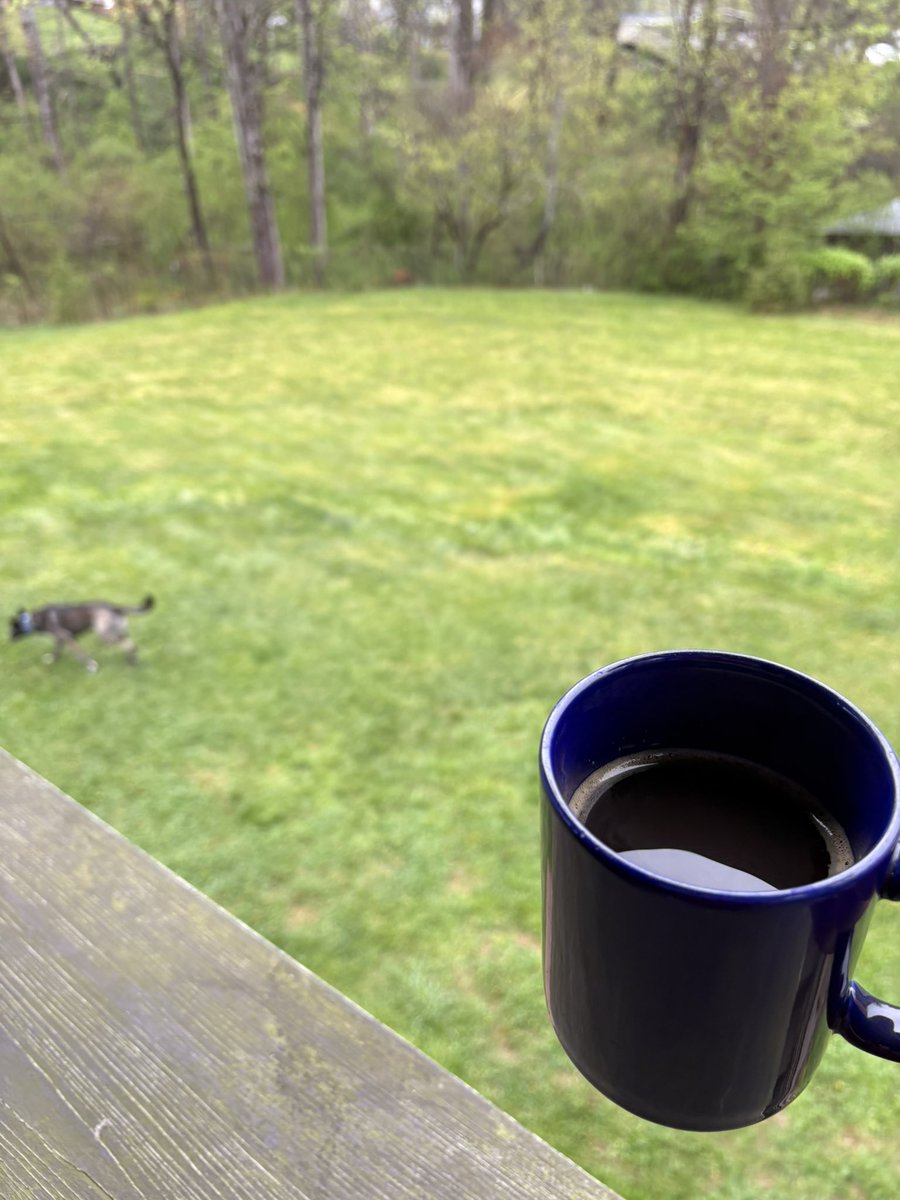 Joe Tindall tweet media