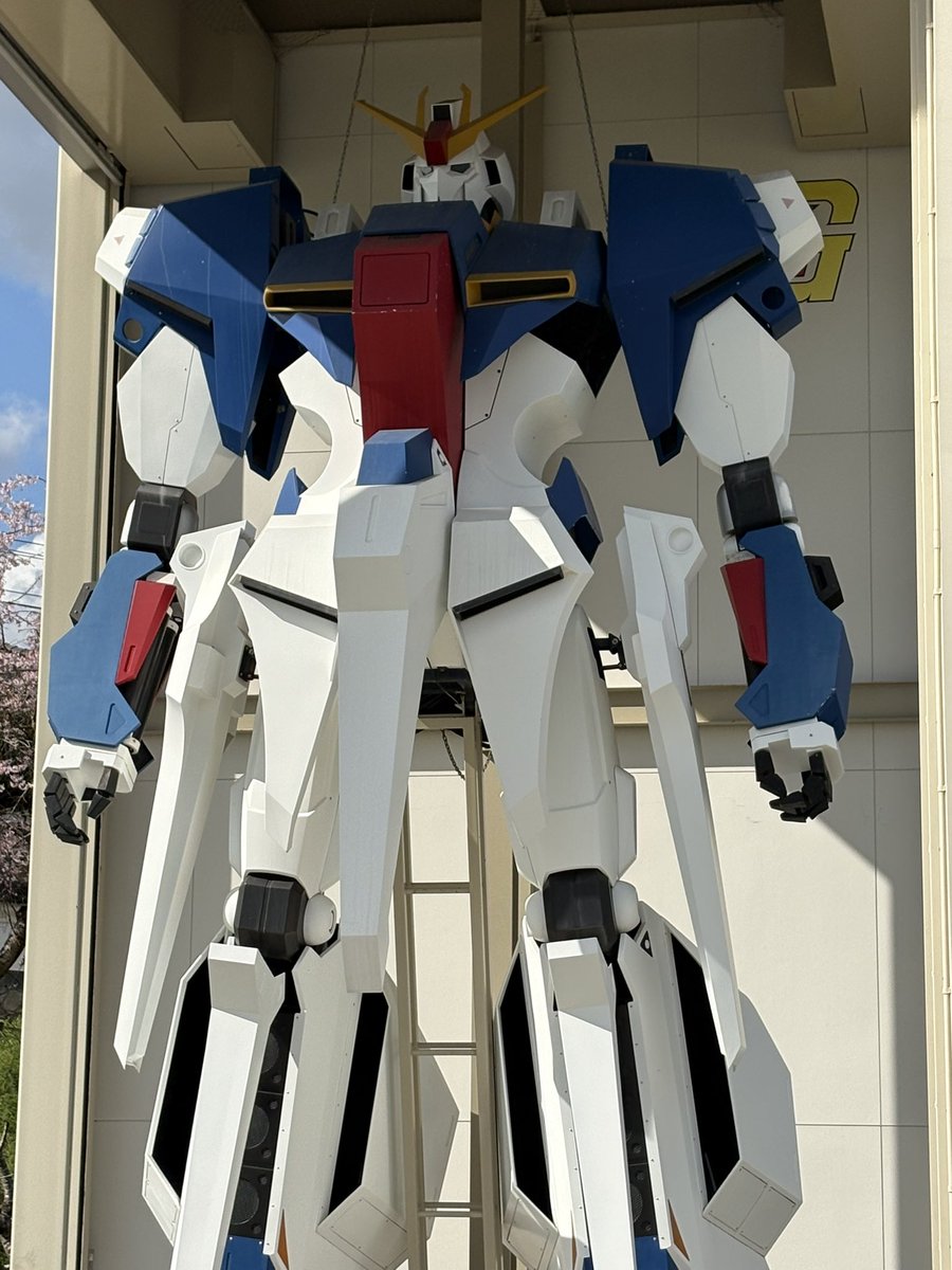 はるを@今季はリーグワンモード突入です😎 tweet media